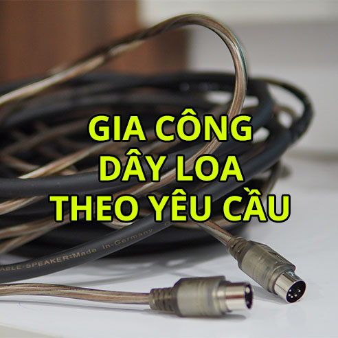gia cong day loa thumbnail