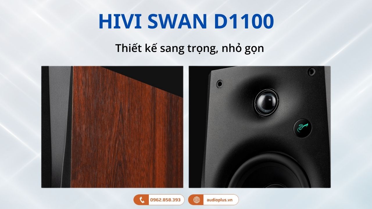loa HIVI SWAN D1100