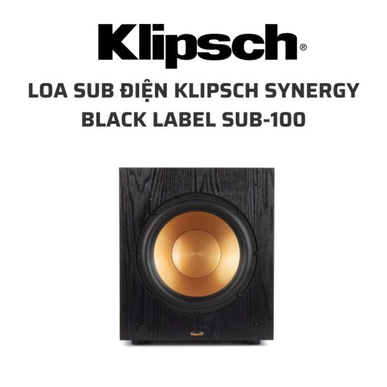 Loa Sub dien Klipsch Synergy Black Label Sub 100 Loa Sub dien 02