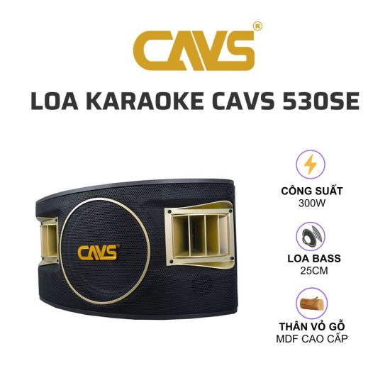 CAVS 530SE Loa karaoke 01
