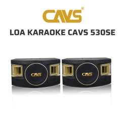 CAVS 530SE Loa karaoke 02