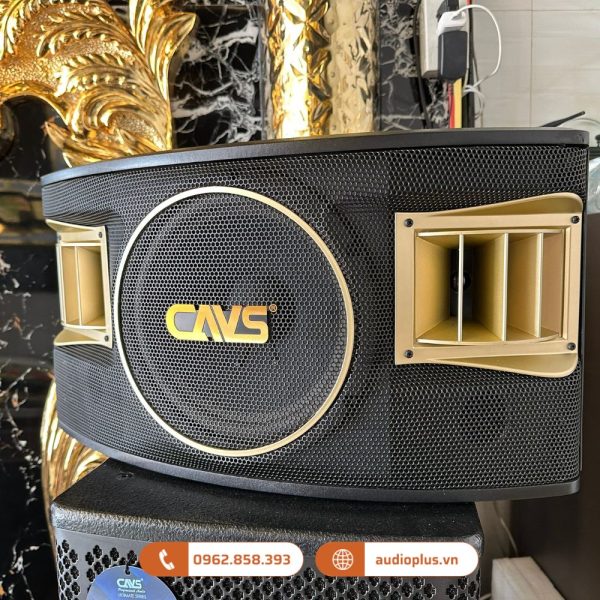 CAVS 530SE Loa karaoke 102