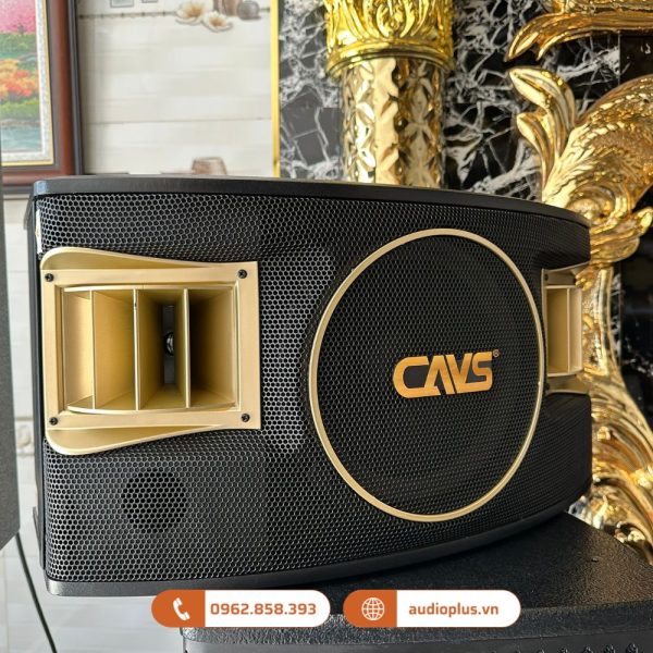 CAVS 530SE Loa karaoke 103
