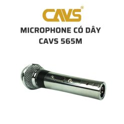 CAVS 565M Microphone co day 03