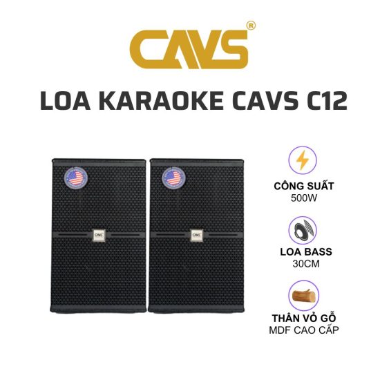 CAVS C12 Loa karaoke 01