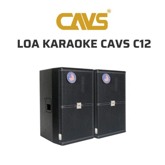 CAVS C12 Loa karaoke 02