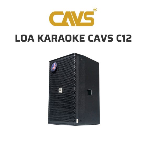 CAVS C12 Loa karaoke 03