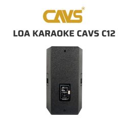 CAVS C12 Loa karaoke 04