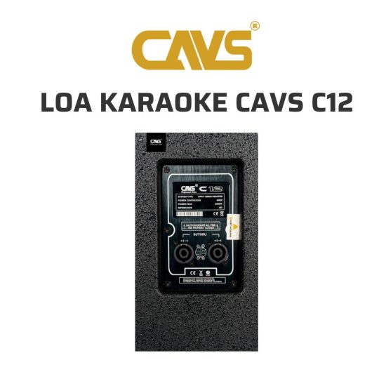 CAVS C12 Loa karaoke 05