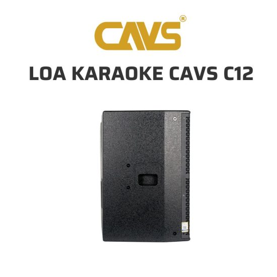 CAVS C12 Loa karaoke 06