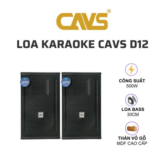 CAVS D12 Loa karaoke 01