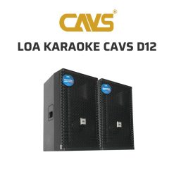 CAVS D12 Loa karaoke 02