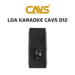 CAVS D12 Loa karaoke 03