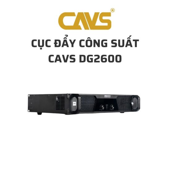 CAVS DG2600 Cuc day cong suat 02