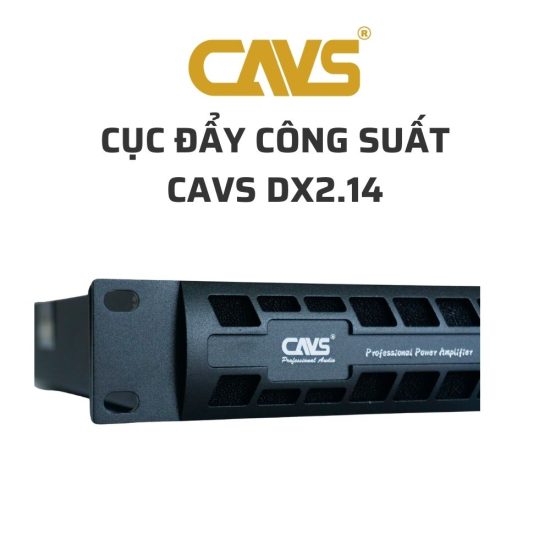 CAVS DX2.14 Cuc day cong suat 02
