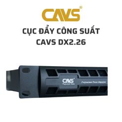 CAVS DX2.26 Cuc day cong suat 02