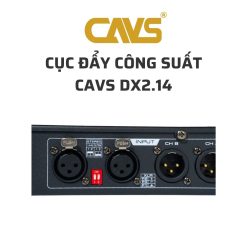 CAVS DX2.26 Cuc day cong suat 02 4