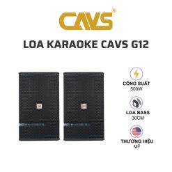 CAVS G12 Loa karaoke 01