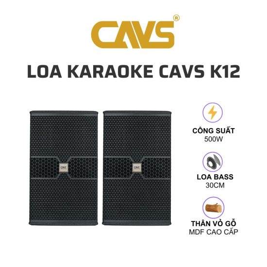 CAVS K12 Loa karaoke 01