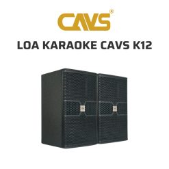 CAVS K12 Loa karaoke 02