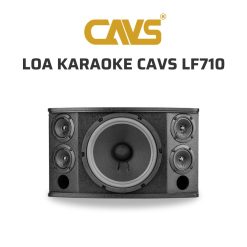 CAVS LF710 Loa karaoke 03