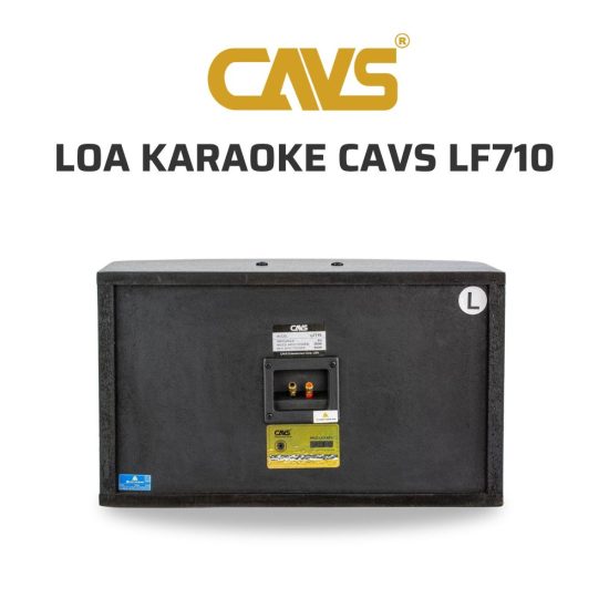 CAVS LF710 Loa karaoke 04