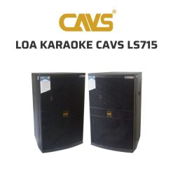 CAVS LS715 Loa karaoke 02