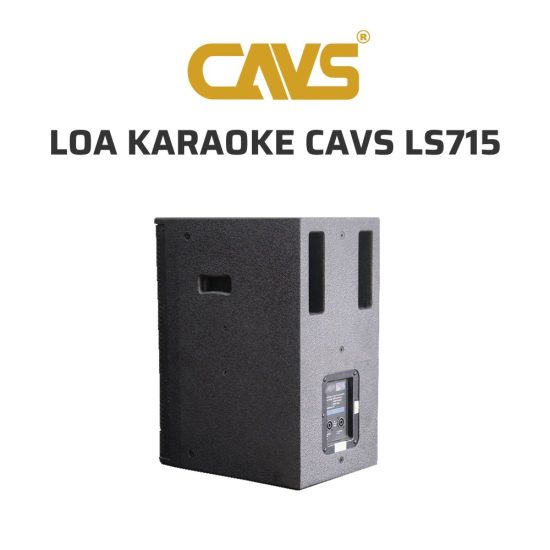 CAVS LS715 Loa karaoke 04