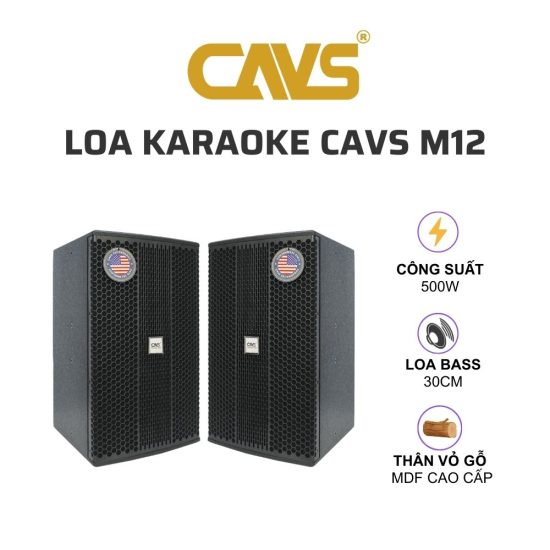 CAVS M12 Loa karaoke 01