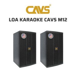 CAVS M12 Loa karaoke 02