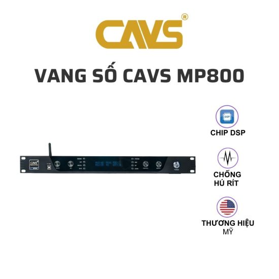 CAVS MP800 Vang so 01