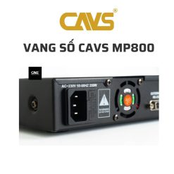 CAVS MP800 Vang so 02