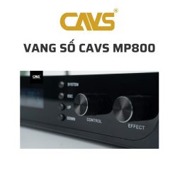 CAVS MP800 Vang so 04