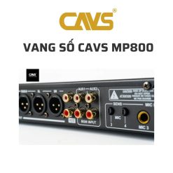 CAVS MP800 Vang so 05