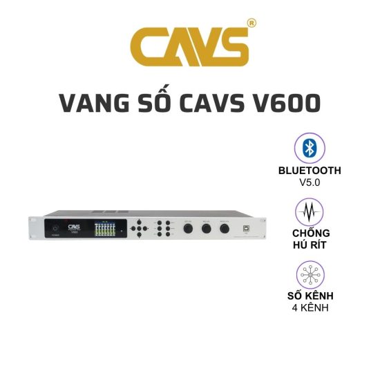 CAVS V600 Vang so 01