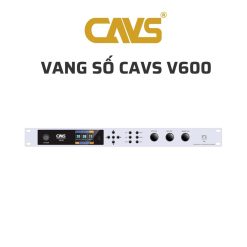 CAVS V600 Vang so 02