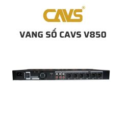 CAVS V850 Vang so 02