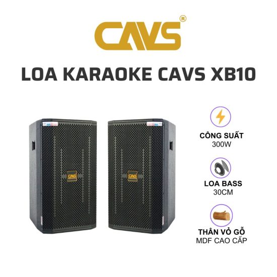 CAVS XB10 Loa karaoke 01