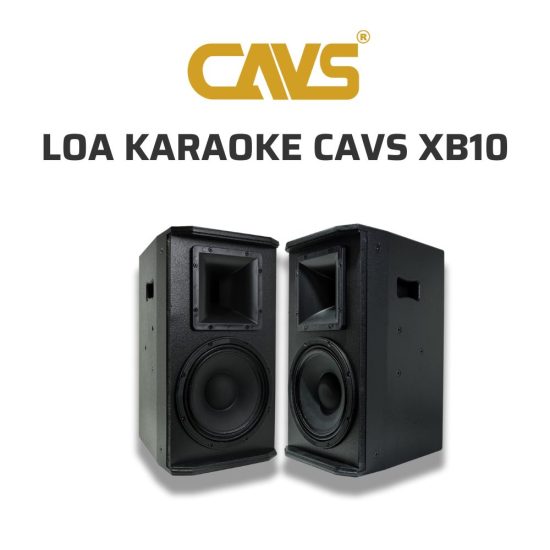 CAVS XB10 Loa karaoke 02