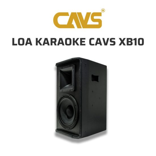 CAVS XB10 Loa karaoke 03