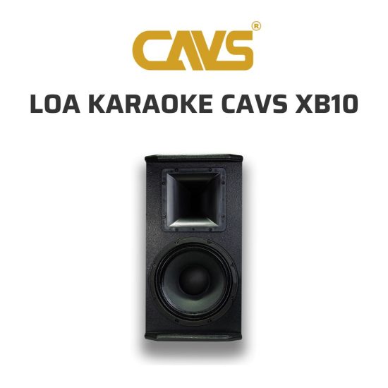 CAVS XB10 Loa karaoke 04