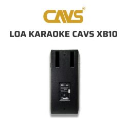 CAVS XB10 Loa karaoke 05