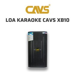 CAVS XB10 Loa karaoke 06