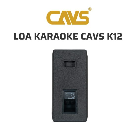 CAVS XK12 Loa karaoke 03