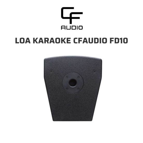 CFAUDIO FD10 Loa karaoke 03 1