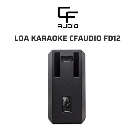 CFAUDIO FD12 Loa karaoke 03 1