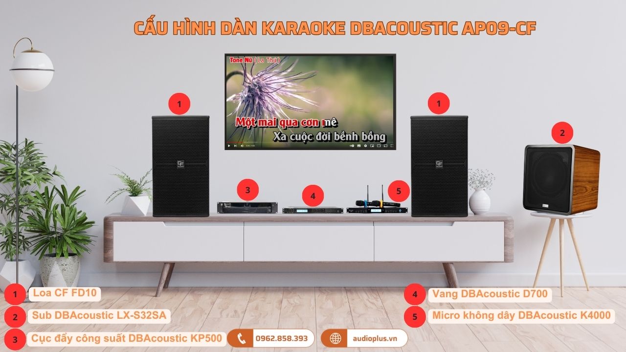 Dàn karaoke DBAcoustic AP09-CF (25-30m2)