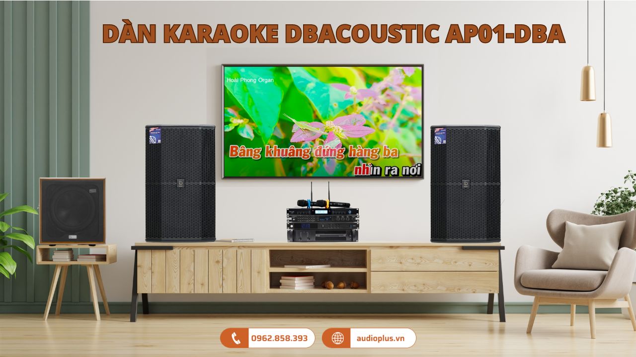 Dàn karaoke DBAcoustic AP01-DBA (30-35m2)
