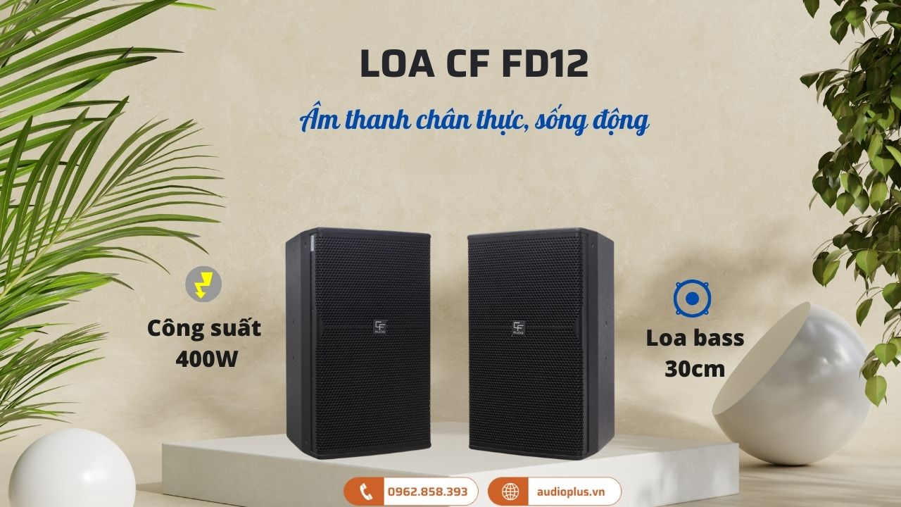Loa CF FD12