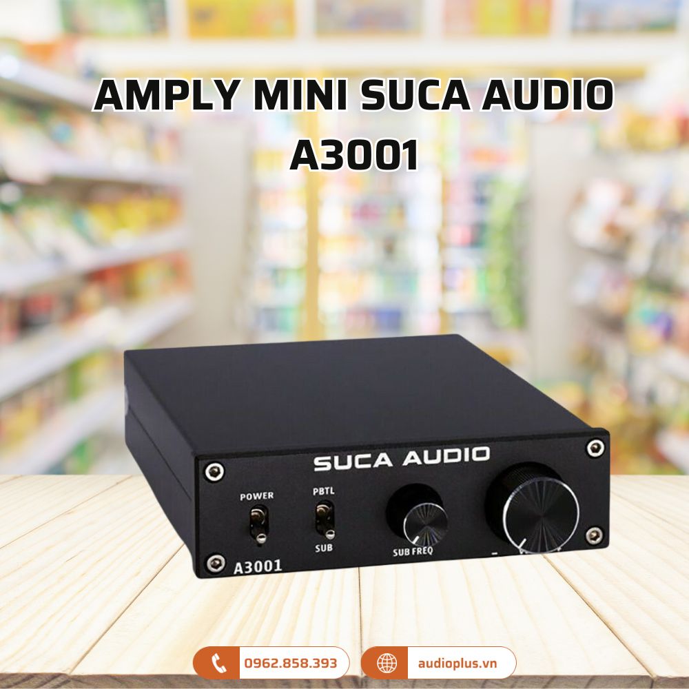 Amply mini cho subwoofer SUCA AUDIO A3001